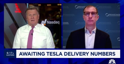 The key for Tesla is how well it can embrace the AI potential of the platform, says Colin Rusch
