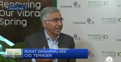 Temasek CIO on the green transition: 'Clearly we can move faster, we need to move faster'