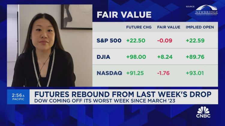 Hedging is currently cheap relative to historical levels, says Amy Wu Silverman