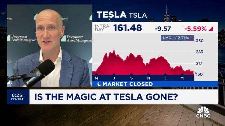 Tesla is still a growth story, just 'not for the next year,' says Deepwater's Gene Munster