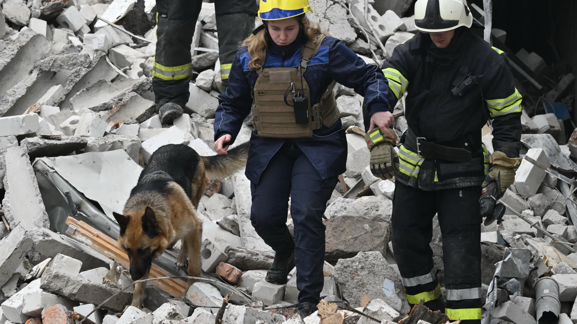 Ukrainian rescuers work with a search dog among the rubbles of a destroyed building following a missile attack in Chernigiv on April 17, 2024, amid the Russian invasion of Ukraine.