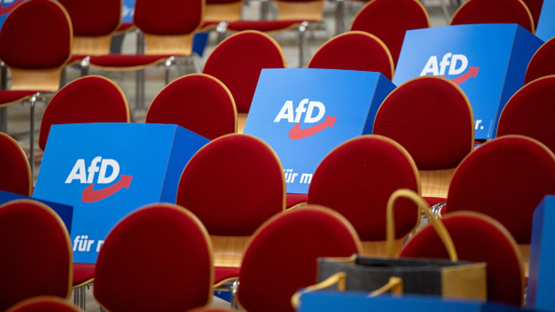 Germany’s far-right AfD party is finding success on TikTok — as its popularity among young voters grows