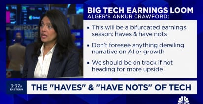 Big tech earnings will be bifurcated, says Alger's Ankur Crawford