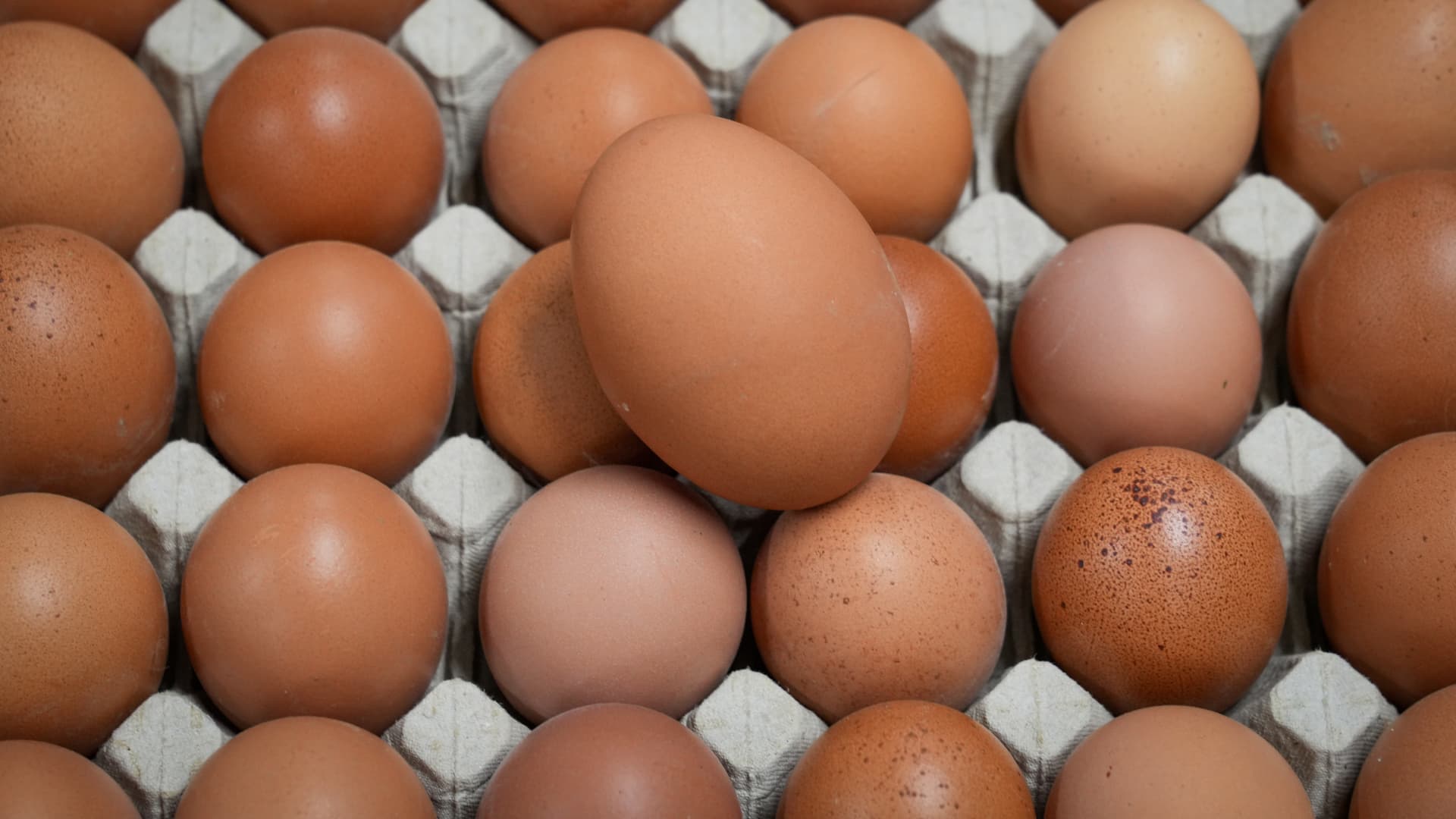 Bird flu resurgence drives up egg rates, spurring some to inventory up