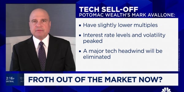 Market pullback eliminated 'froth' in equities, says Potomac Wealth's Mark Avallone