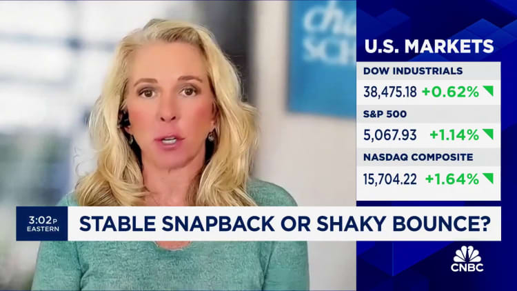 Charles Schwab's Liz Ann Sonders expects the relief rallies in 2023's sector darlings will continue