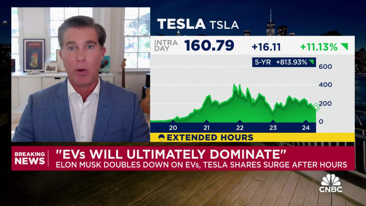 Tesla shareholder Ross Gerber says profits and margins could decline even as sales volumes increase