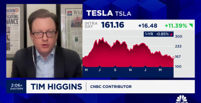 Tesla and Elon Musk fans have an optimistic outlook for company's future, says WSJ's Tim Higgins