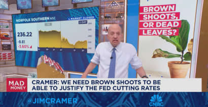 Jim Cramer identifys the market's 'brown shoots' and what they mean
