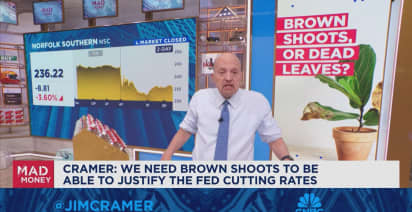 Jim Cramer identifys the market's 'brown shoots' and what they mean