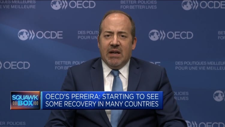 Pereira de la OCDE: Se observa cierta recuperación en muchas partes del mundo