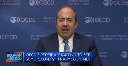OECD’s Pereira: Seeing some recovery in many parts of the world