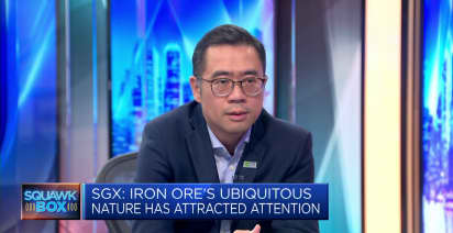 Iron ore prices are reflecting 'slightly bearish' economic sentiment in China: SGX Group