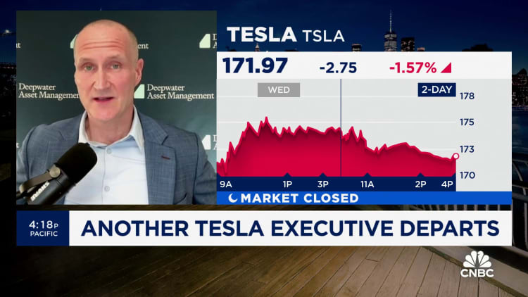 Tesla isn't out of the woods yet when it comes to returning to growth, says Deepwater's Gene Munster