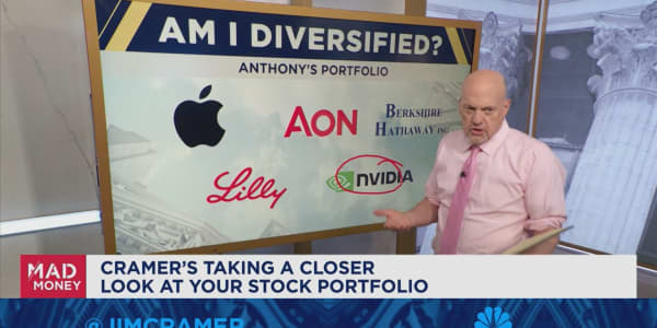 Jim Cramer grades viewer portfolios on diversification