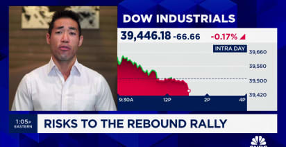 The rebound market still has room to run, says Richard Bernstein's Dan Suzuki