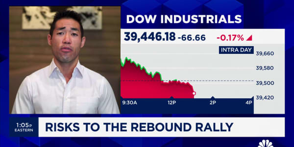 The rebound market still has room to run, says Richard Bernstein's Dan Suzuki