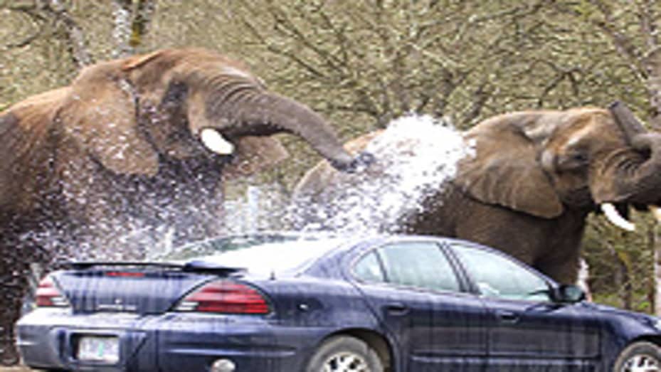 safari car wash hours