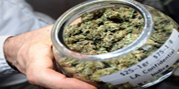 States Where Pot is a Slap on the Wrist