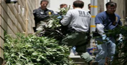 The Confused State of Pot Law Enforcement