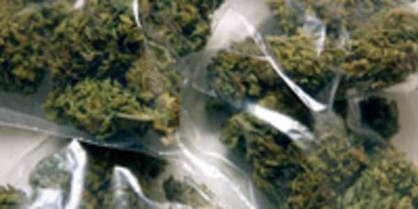 As Medical Marijuana Proliferates, Pot Prices Decline Nationwide