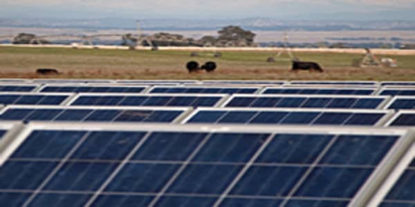 Solar Energy Grows on North American Farms 