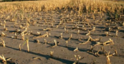 Drought Impact 'Big,' Scrap Biofuel Mandates: Sunny D CEO 
