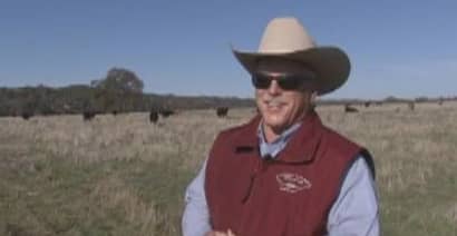 Ranchers' Dilemma: Not Enough Beef